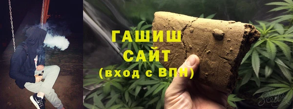 стаф Аркадак