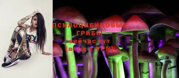 скорость Алексеевка