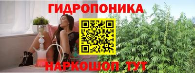 прущие крисы Кимры
