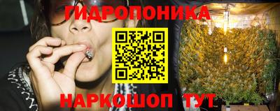 прущие грибы Кингисепп