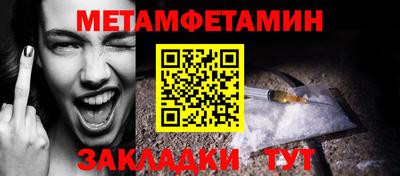 прущие грибы Кингисепп