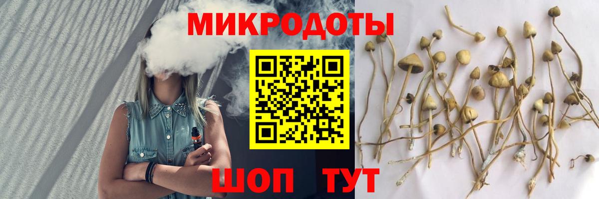 Галлюциногенные грибы MAGIC MUSHROOMS  Вход с VPN  Галлюциногенные грибы GOLDEN TEACHER  Майкоп 